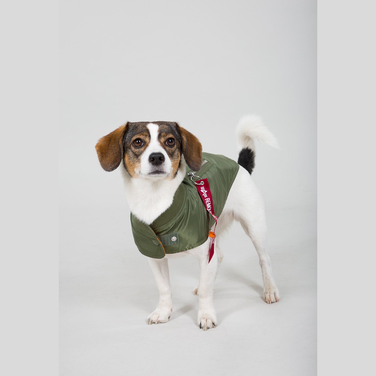 oblek pro psa DOG JACKET MA-1 sage green